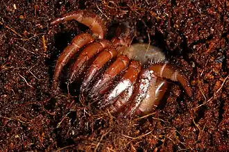 Description de cette image, également commentée ci-après