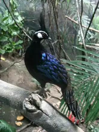 Description de cette image, également commentée ci-après