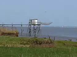Carrelet de Saint-Christoly-Médoc. Au loin les falaises de Meschers-sur-Gironde, au nord.
