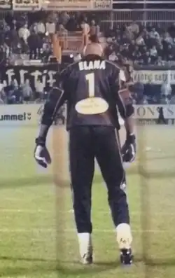 Image illustrative de l’article Steeve Elana