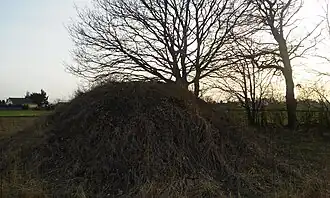 Stefankowice-Kolonia