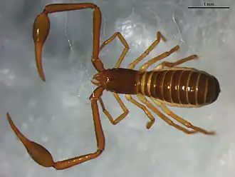 Description de cette image, également commentée ci-après