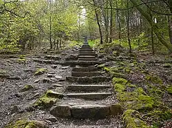 Marches de l'un des accès au Chevin.