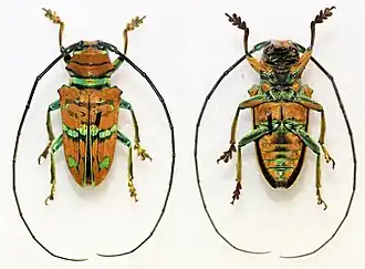 Description de cette image, également commentée ci-après