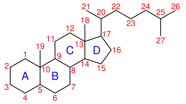 Image illustrative de l’article Cholestane