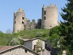 Le château vu de la route d'accès