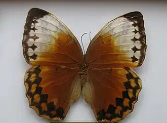 Description de cette image, également commentée ci-après