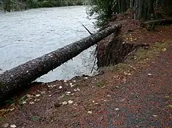 L'érosion est naturelle, combattue par le Génie végétal ou le Génie civil.