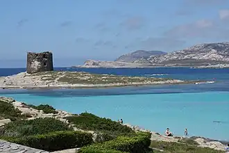 Stintino, tour génoise, et au fond, Asinara.