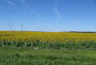 Description de cette image, également commentée ci-après