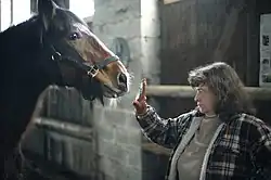 Une femme présentant la paume de sa main devant le nez d'un cheval.