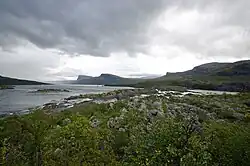 Un fleuve traversant un paysage alternant falaises et pentes douces, avec des buissons au premier plan.