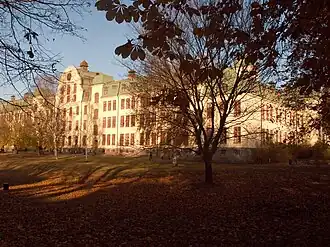 Långbroparken, Stora Mans