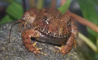 Description de cette image, également commentée ci-après