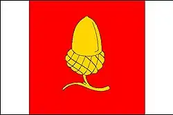 Drapeau de Strachotín