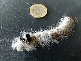 Description de cette image, également commentée ci-après