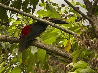 Description de cette image, également commentée ci-après