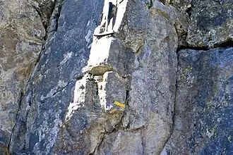 Image illustrative de l’article Formation d'Orr