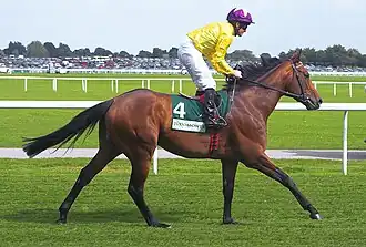 Image illustrative de l’article Sea The Stars