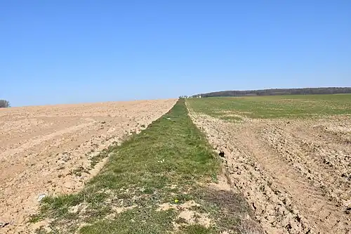 Sentier d'éaccès au cimetière sur une butte.