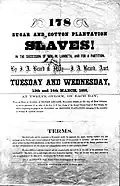 Vente de 178 esclaves de plantations agricoles, de la succession de M. Lambech, Nouvelle-Orléans (États-Unis), 1855.