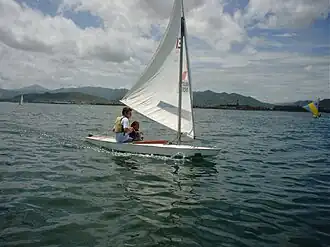 illustration de Sunfish