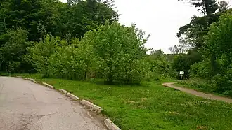 Sunnybrook (Nouvelle-Zélande)