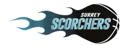 Logo du Surrey Scorchers