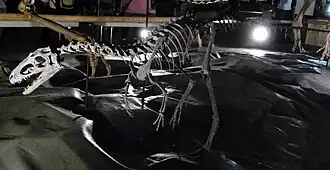 Description de cette image, également commentée ci-après