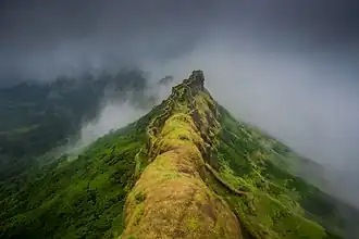 Image illustrative de l’article Fort de Rajgad