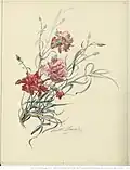 Aquarelle, dans l'album de Louise de Heredia.