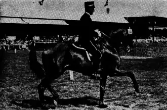 Image illustrative de l’article Sven Colliander