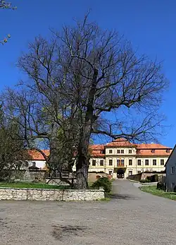 Svojšín : centre.