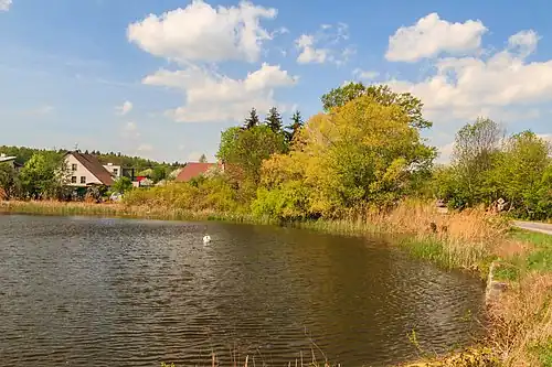 Étang de Svojšice.