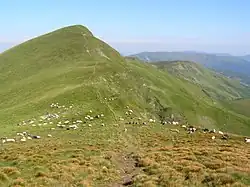 le mont Dragobrat, classée,