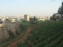 Terre cultivée, avec une fabrique de jardin