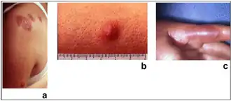 Description de cette image, également commentée ci-après