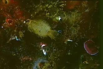 Description de cette image, également commentée ci-après