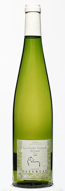 Sylvaner d'Alsace vieilles vignes