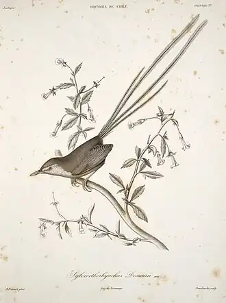 Description de cette image, également commentée ci-après