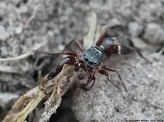 Description de cette image, également commentée ci-après