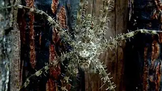 Description de cette image, également commentée ci-après