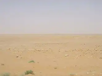 Désert syrien entre Deir ez-Zor et Tadmor (Palmyre) en juin 2010