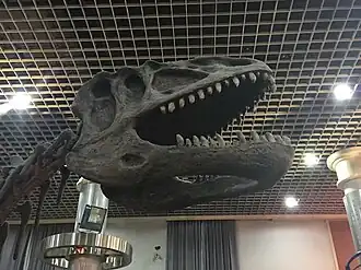 Description de cette image, également commentée ci-après