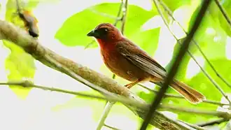 Description de cette image, également commentée ci-après