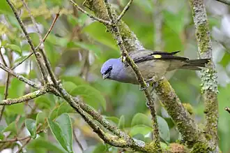 Description de cette image, également commentée ci-après