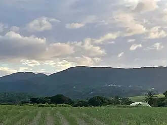 Vue de la tête Allègre (à gauche) et du morne Goton.