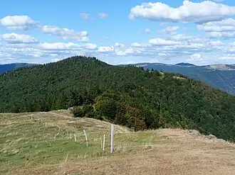 Vue de la tête de Fellering et du Hasenkopf depuis le Drumont.