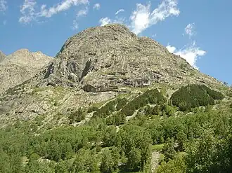 La tête de la Maye vue de la Bérarde au sud.