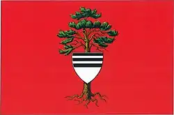 Drapeau de Týniště nad Orlicí